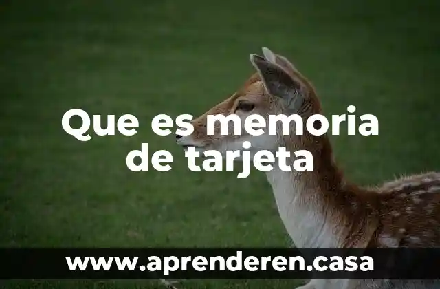 Que es memoria de tarjeta