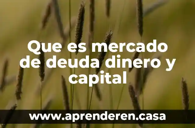 Que es mercado de deuda dinero y capital