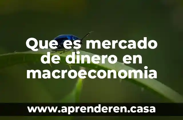 Que es mercado de dinero en macroeconomia