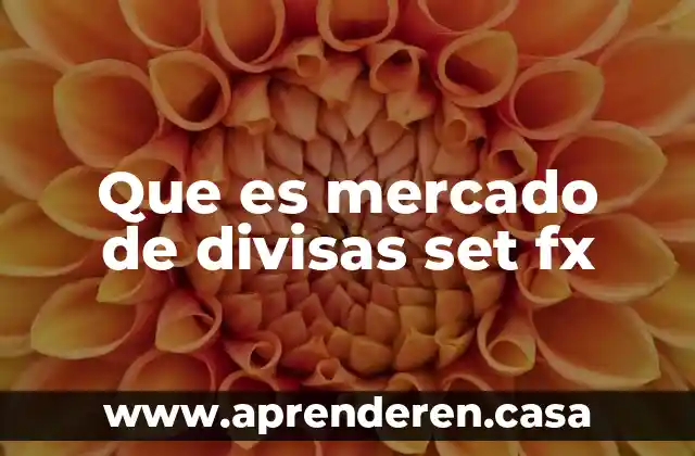 Que es mercado de divisas set fx