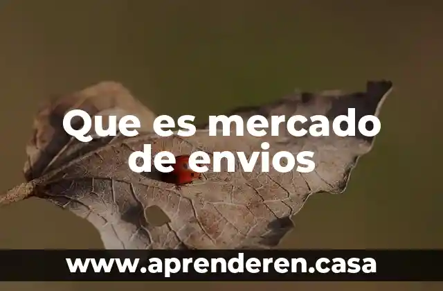 Que es mercado de envios