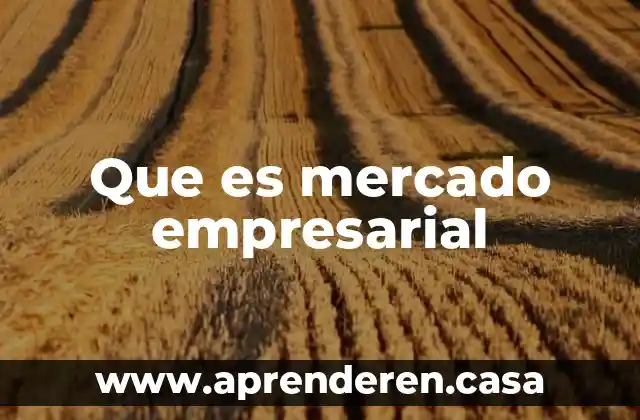 Que es un mercado de masas 3 Que es mercado empresarial