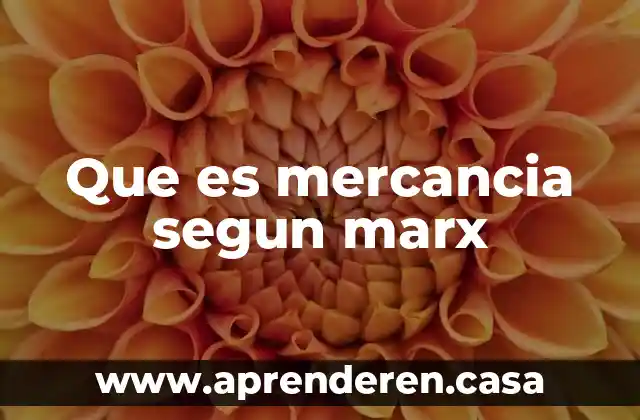 Que es mercancia segun marx