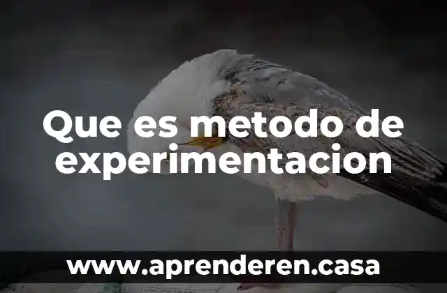 Que es metodo de experimentacion