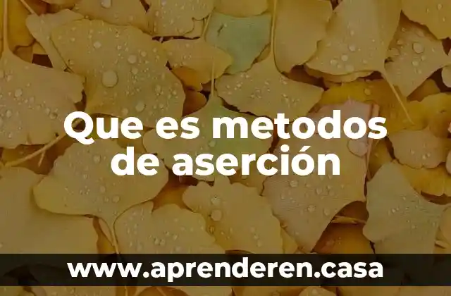 Que es metodos de aserción