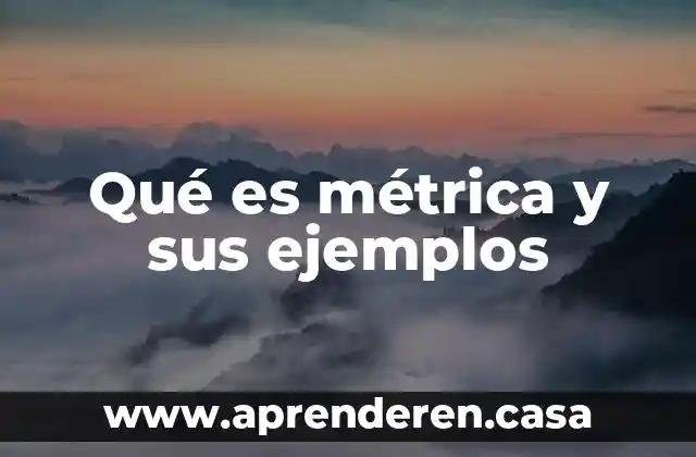 Qué es métrica y sus ejemplos