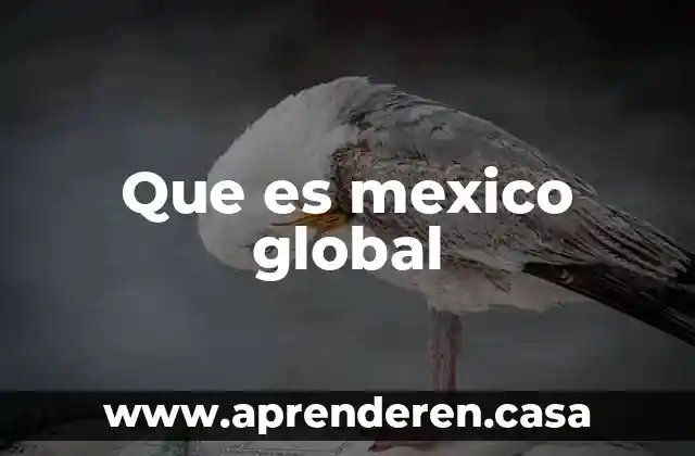 Que es mexico global