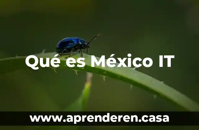 Botana en mexico que es 8 Qué es México IT