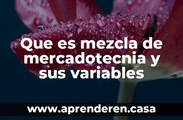 Que es mezcla de mercadotecnia y sus variables
