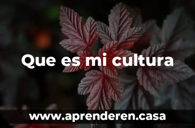 Que es mi cultura