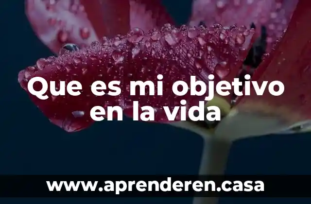 Que es mi objetivo en la vida