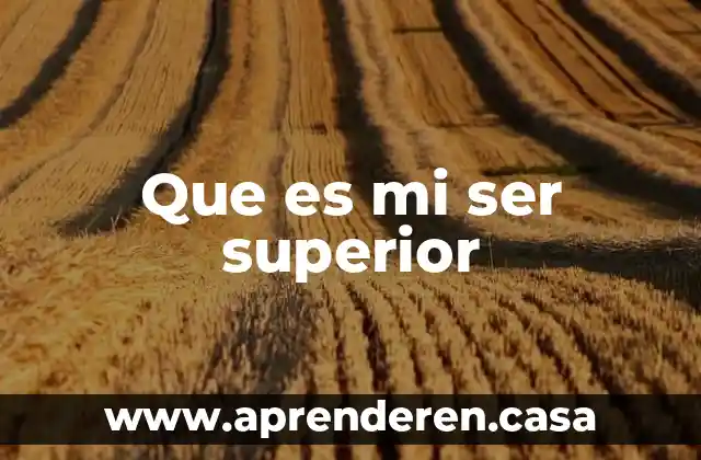 Que es mi ser superior