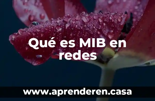 En redes que es adsl 5 Qué es MIB en redes