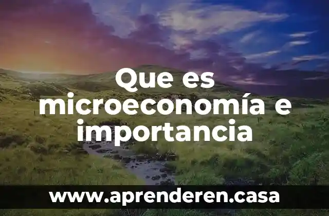 Que es microeconomía e importancia