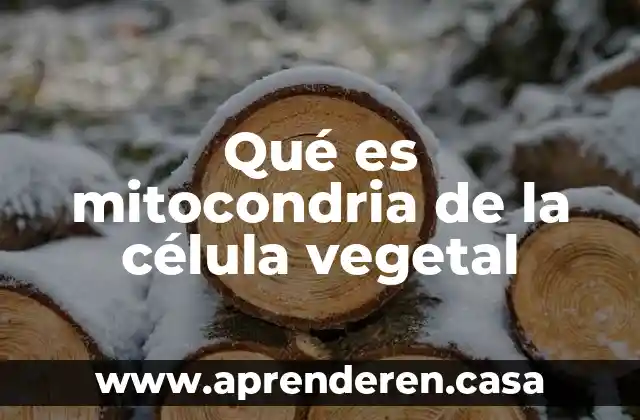 Qué es mitocondria de la célula vegetal