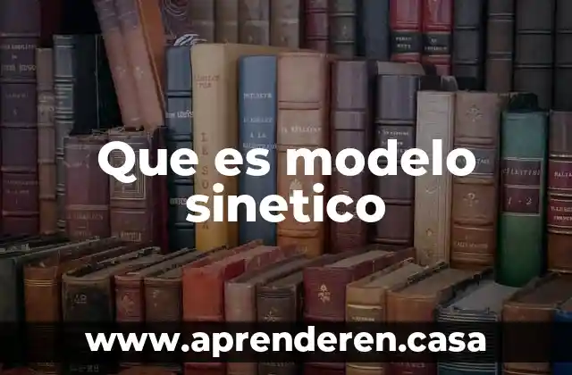 Que es modelo sinetico