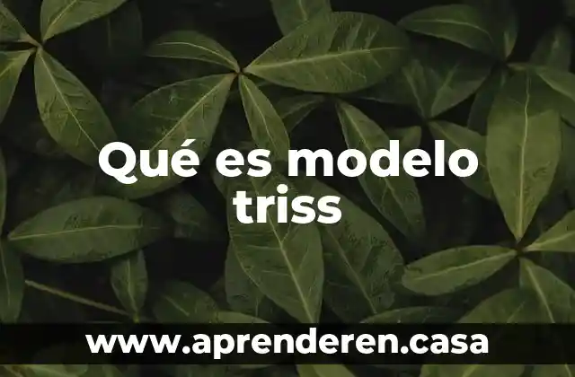 Qué es modelo triss