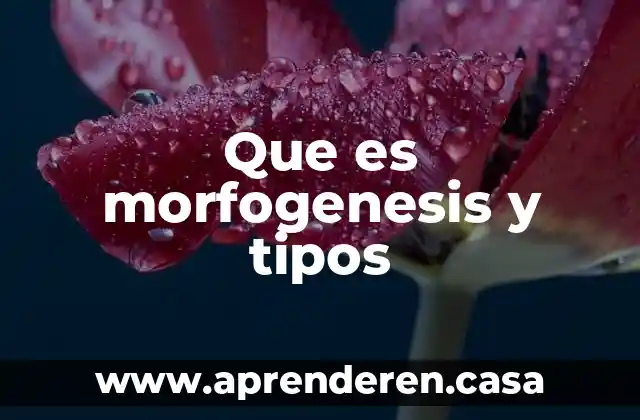 Que es morfogenesis y tipos