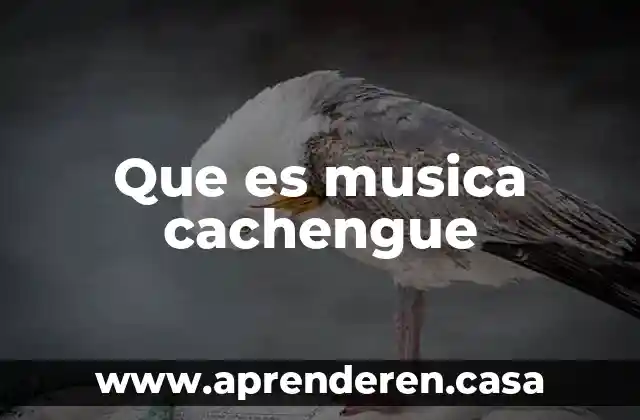 Que es el stomp en musica 3 Que es musica cachengue
