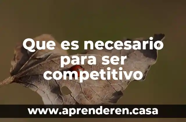 Que es necesario para ser competitivo