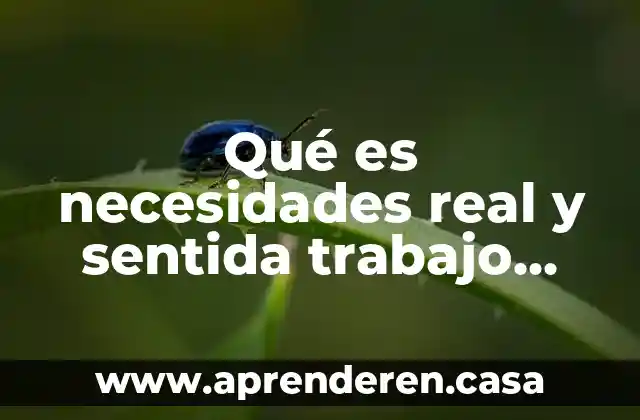 Qué es necesidades real y sentida trabajo social
