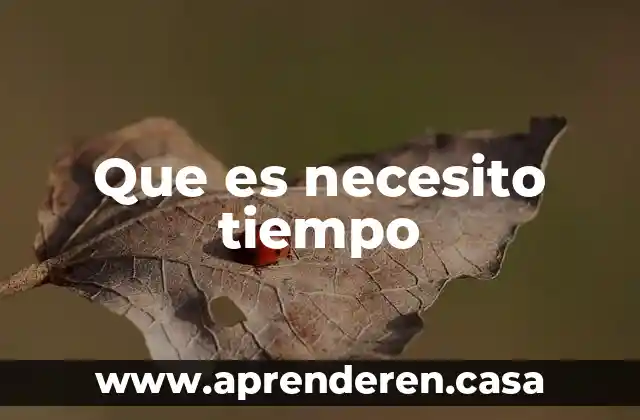 Que es necesito tiempo