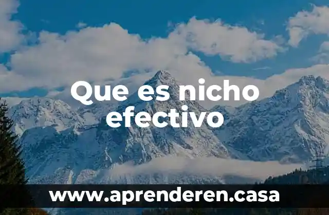 Que es nicho efectivo