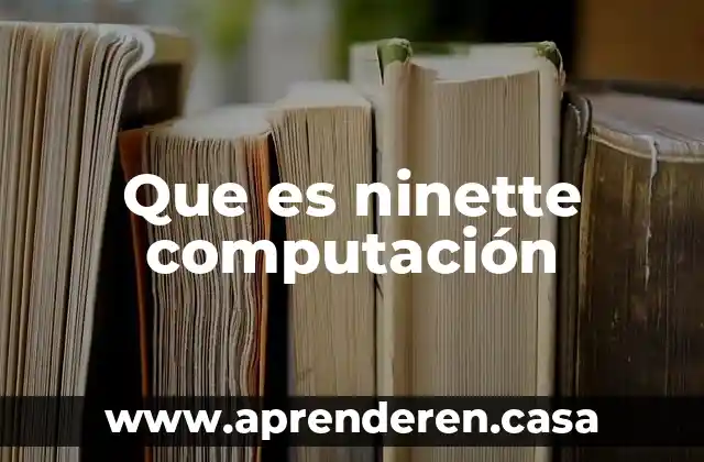 Que es ninette computación