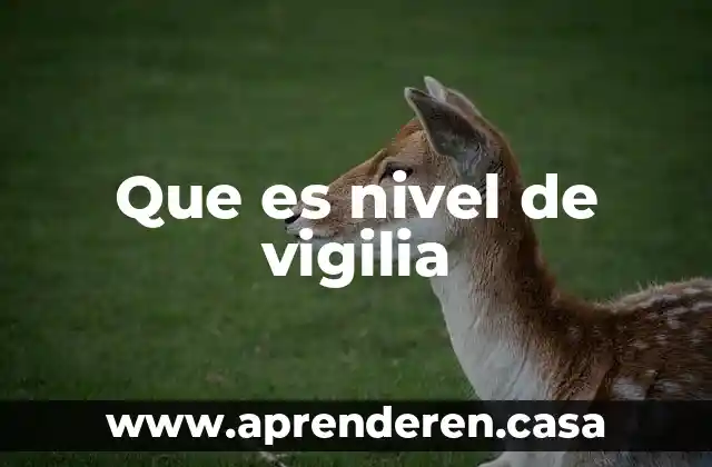Que es nivel de vigilia