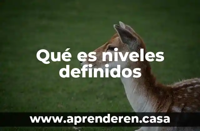 Qué es niveles de bienestar 6 Qué es niveles definidos