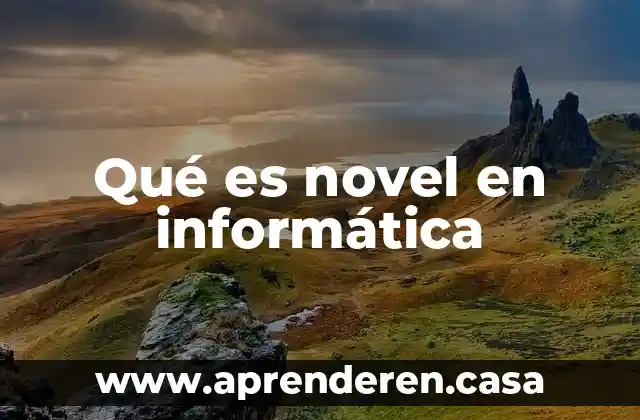 Que es dfd en informatica 7 Qué es novel en informática