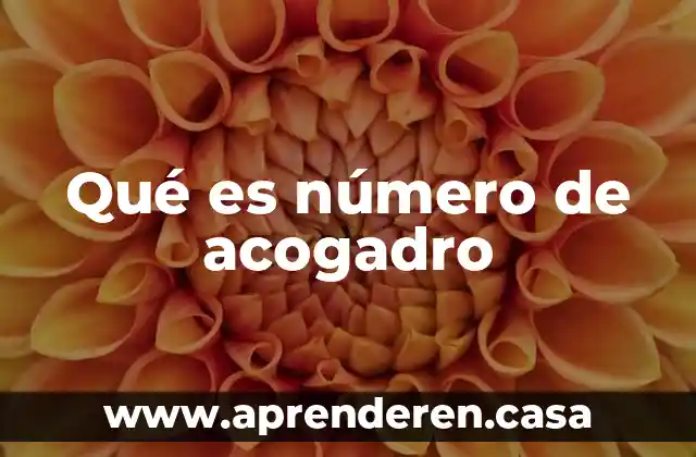 Qué es número de acogadro