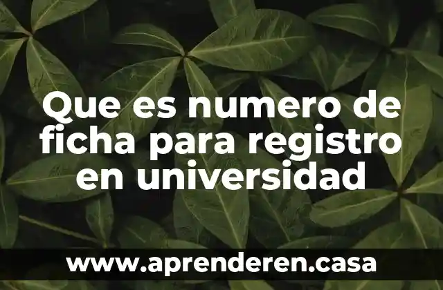 Que es numero de ficha para registro en universidad