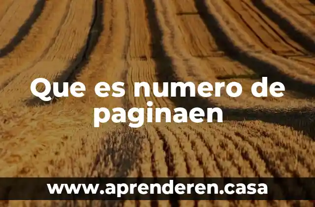 Que es numero de paginaen