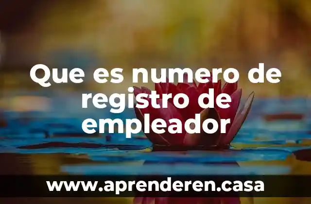 Que es numero de registro de empleador