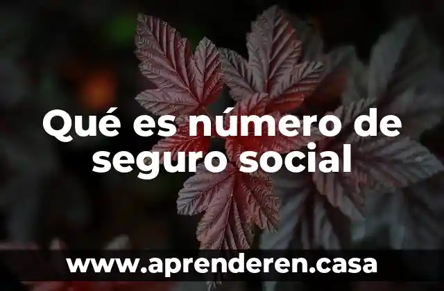 Qué es número de seguro social