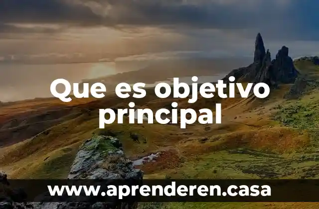 Que es objetivo principal