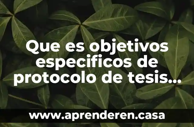 Que es la estructura del protocolo de investigacion 4 Que es objetivos especificos de protocolo de tesis ejemplos