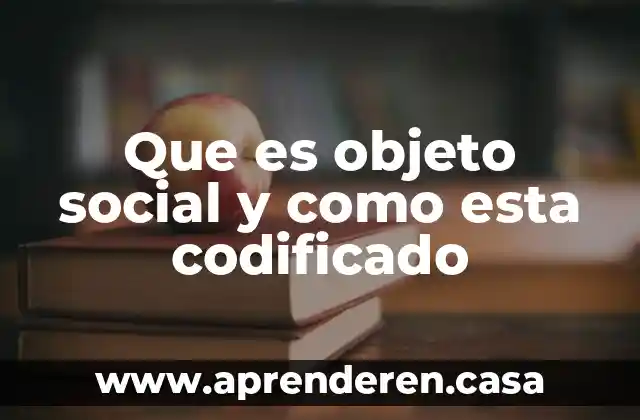 Que es objeto social y como esta codificado