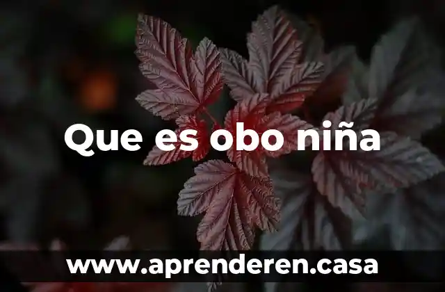 Que es obo niña