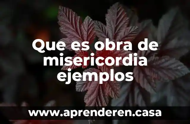Que es obra de misericordia ejemplos