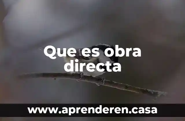 Que es obra directa