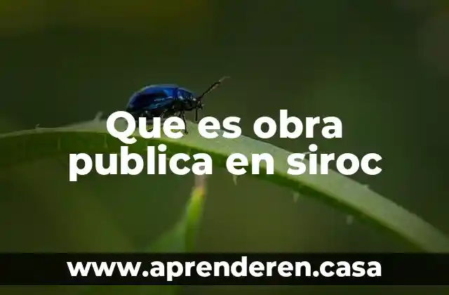 Que es una obra sita en una obra en construccion 3 Que es obra publica en siroc