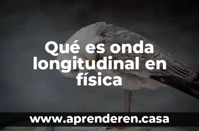 Qué es onda longitudinal en física