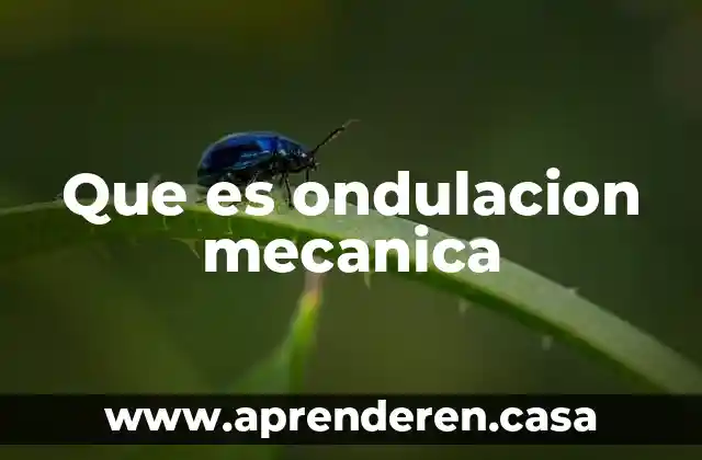 Qué es una parafrasis mecánica y constructiva 6 Que es ondulacion mecanica