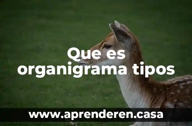 Que es organigrama tipos