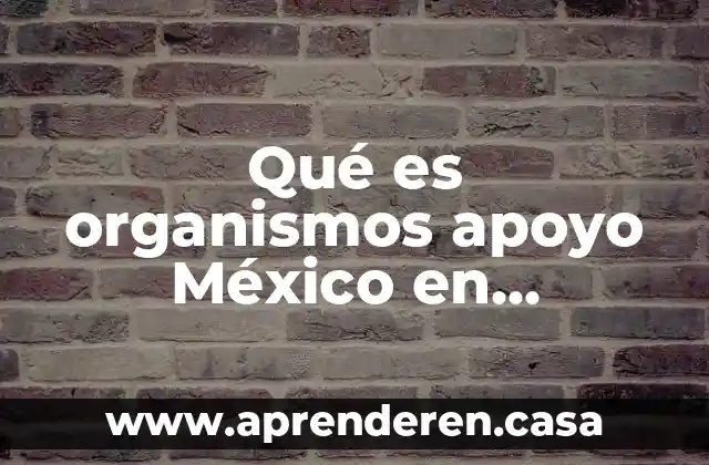 Qué es el delito de depositario infiel México 6 Qué es organismos apoyo México en finanzas