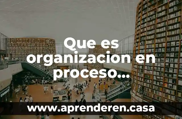 Que es organizacion en proceso administrativo