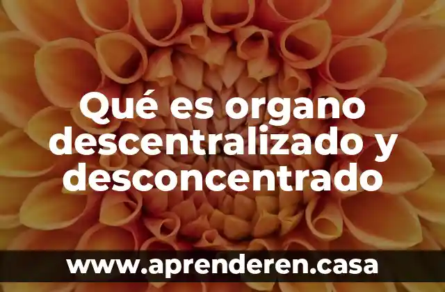 Qué es un órgano legislativo 3 Qué es organo descentralizado y desconcentrado