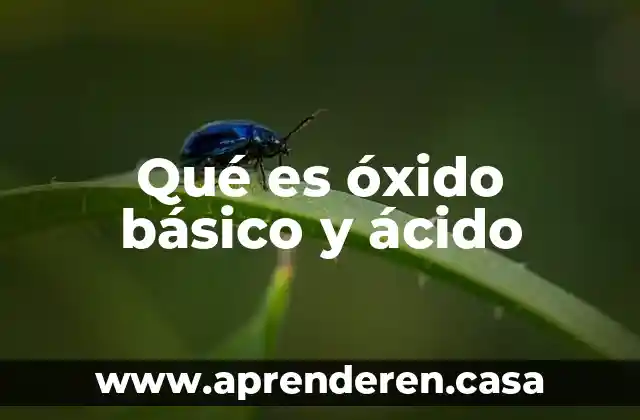 Qué es óxido básico y ácido